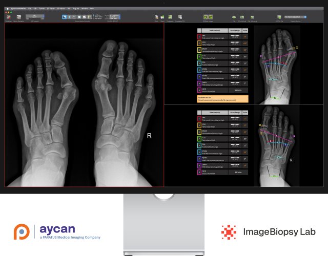 Dedalus HealthCare | DeepUnity Vie - RadMag - Online-Journal für die ...