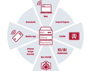 Foto: Nexus Enterprise Imaging| RVC Clinical Repository...