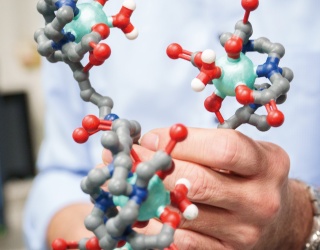 Erstmalige Vorstellung von Daten zu QUANTI Pediatric auf RSNA-Jahreskongress 2025: