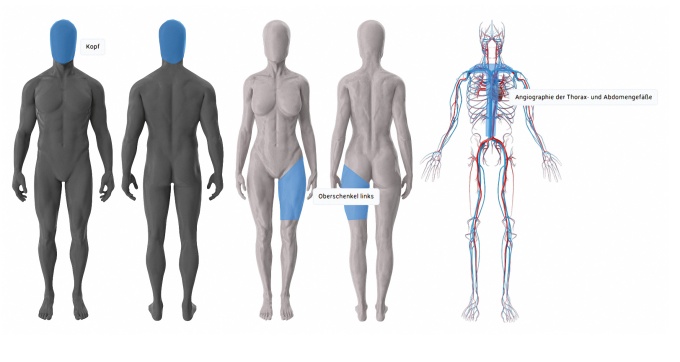 TR-Portal GEMEDICO)