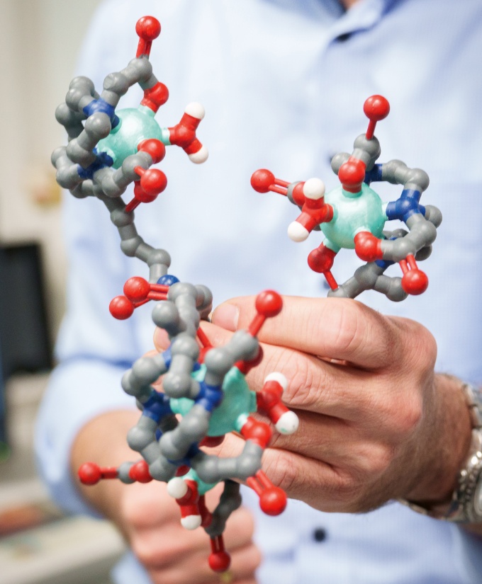 Foto: Erstmalige Vorstellung von Daten zu QUANTI Pediatric auf...